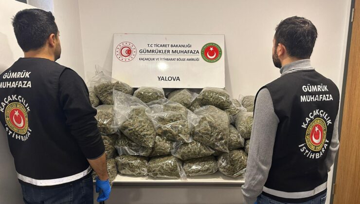 Yalova Ro-Ro Limanı’nda 39 Kilogram Esrar Ele Geçirildi