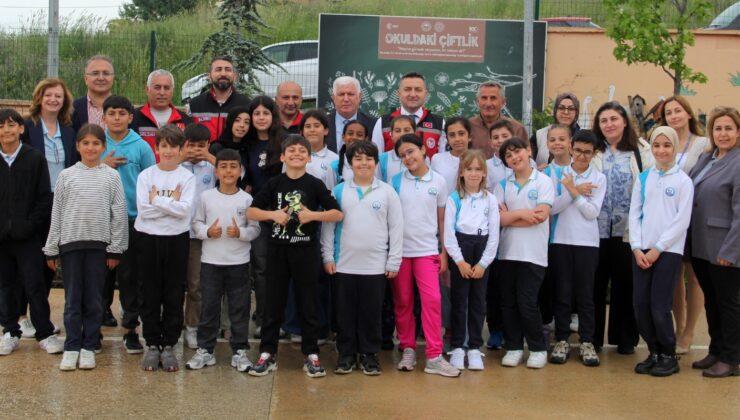 Yalova İlkokulu Öğrencileri “Okuldaki Çiftlik” Projesi Kapsamında Seralara Sebze Fidesi Dikti