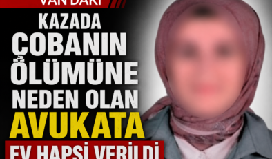 Kazada çobanın ölümüne neden olan avukata ev hapsi verildi