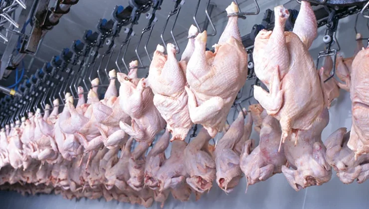 Beyaz Et Sektörüne 8 İlde Eş Zamanlı Operasyon: 13 Şirkete Kayyım Atandı, 32 Şüpheli Gözaltında