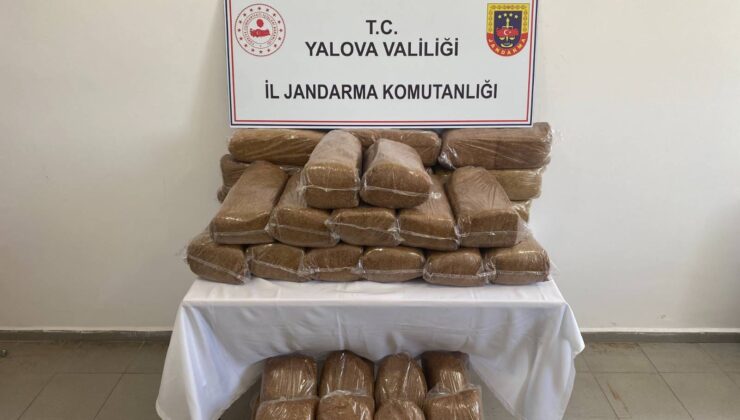 Yalova’da Jandarma Operasyonunda Bandrolsüz Tütün Ele Geçirildi